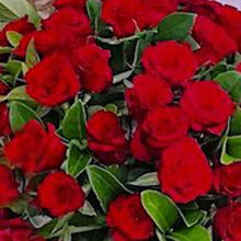 Load image into Gallery viewer, Just Roses