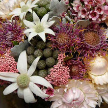 Load image into Gallery viewer, Mudgee florist Mudgee Monkey is a local based florist in the Mudgee Area. Pictured is  local native flowers