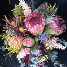 Load image into Gallery viewer, Mudgee florist Mudgee Monkey is a local based florist in the Mudgee Area. Pictured is a generous  bouquet box of native flowers protea delivered free