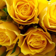 Load image into Gallery viewer, 50 Shades of Roses