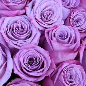Mudgee florist Mudgee Monkey is a local based florist in the Mudgee Area. Pictured is a generous bouquet mauve roses. Valentines day  Free delivery and mothers day