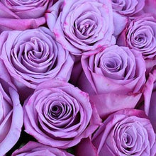 Load image into Gallery viewer, 50 Shades of Roses