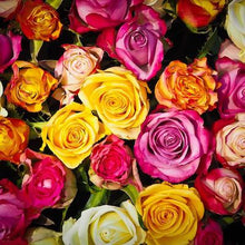 Load image into Gallery viewer,  Mudgee florist Mudgee Monkey is a local based florist in the Mudgee Area. Pictured is a generous bouquet of bright roses. Valentines day Free delivery and mothers day