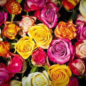  Mudgee florist Mudgee Monkey is a local based florist in the Mudgee Area. Pictured is a generous bouquet of bright roses. Valentines day Free delivery and mothers day