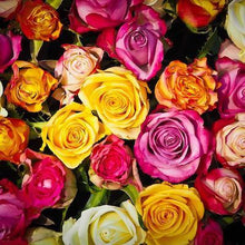 Load image into Gallery viewer, 50 Shades of Roses