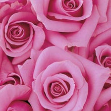 Load image into Gallery viewer,  Mudgee florist Mudgee Monkey is a local based florist in the Mudgee Area. Pictured is a generous bouquet pink roses. Valentines day Free delivery and mothers day