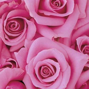  Mudgee florist Mudgee Monkey is a local based florist in the Mudgee Area. Pictured is a generous bouquet pink roses. Valentines day Free delivery and mothers day