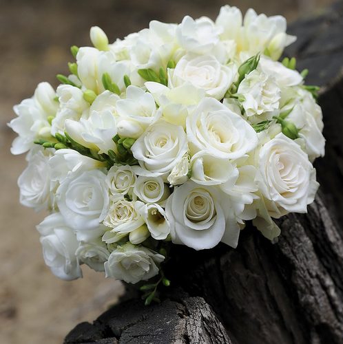 Mudgee florist mudgee flowers Mudgee Monkey is a local based florist in the Mudgee Area. Pictured is a generous bouquet  box roses. Valentines day Free delivery and mothers day