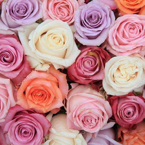 50 Shades of Roses