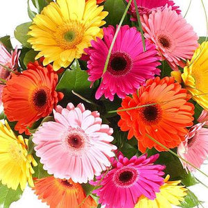 Mudgee florist Mudgee Monkey is a local based florist in the Mudgee Area. Pictured is gerbra flower bouquet