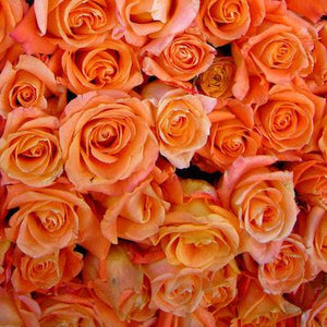  Mudgee florist Mudgee Monkey is a local based florist in the Mudgee Area. Pictured is a generous bouquet of orange roses. Valentines day Free delivery and mothers day