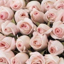 Load image into Gallery viewer, 50 Shades of Roses