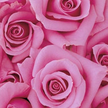 Load image into Gallery viewer, 50 Shades of Roses