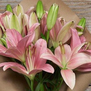 Asiatic (Tiger) Lilies